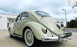 1960 Beetle Thumbnail 18