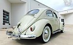 1960 Beetle Thumbnail 24