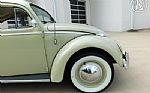 1960 Beetle Thumbnail 34