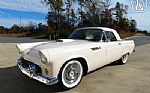 1955 Thunderbird Thumbnail 7