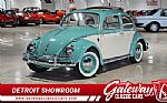 1962 Beetle Thumbnail 1