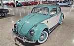 1962 Beetle Thumbnail 2