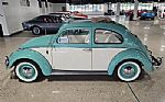 1962 Beetle Thumbnail 4