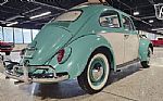 1962 Beetle Thumbnail 11