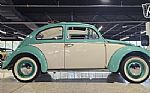 1962 Beetle Thumbnail 13