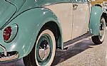 1962 Beetle Thumbnail 42