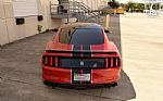 2017 Mustang Shelby Cobra GT350 Thumbnail 9