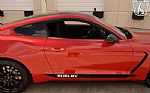 2017 Mustang Shelby Cobra GT350 Thumbnail 44
