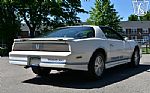 1984 Firebird Trans Am 15th Anniver Thumbnail 17