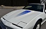 1984 Firebird Trans Am 15th Anniver Thumbnail 55