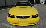 2001 Mustang Thumbnail 3