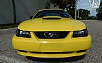2001 Mustang Thumbnail 2