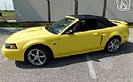 2001 Mustang Thumbnail 10