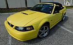 2001 Mustang Thumbnail 7