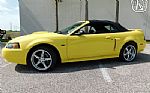 2001 Mustang Thumbnail 8