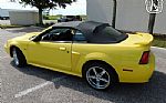 2001 Mustang Thumbnail 13
