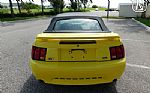 2001 Mustang Thumbnail 16