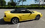 2001 Mustang Thumbnail 22