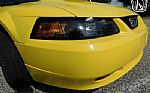2001 Mustang Thumbnail 31