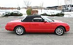 2002 Thunderbird Thumbnail 12