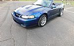 2004 Mustang Cobra Convertible Thumbnail 3