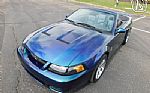 2004 Mustang Cobra Convertible Thumbnail 7