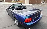2004 Mustang Cobra Convertible Thumbnail 16