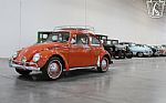 1965 Beetle Thumbnail 3