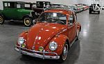 1965 Beetle Thumbnail 6