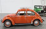 1965 Beetle Thumbnail 7