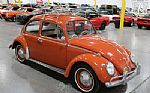 1965 Beetle Thumbnail 12