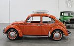 1965 Beetle Thumbnail 15