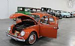 1965 Beetle Thumbnail 30