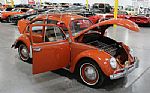 1965 Beetle Thumbnail 36