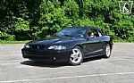 1995 Mustang SVT Cobra Cobra Thumbnail 2