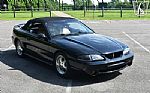 1995 Mustang SVT Cobra Cobra Thumbnail 21