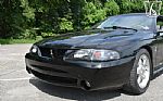 1995 Mustang SVT Cobra Cobra Thumbnail 54