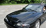 1995 Mustang SVT Cobra Cobra Thumbnail 61