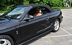 1995 Mustang SVT Cobra Cobra Thumbnail 66