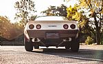 1981 Corvette Thumbnail 14