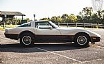 1981 Corvette Thumbnail 19