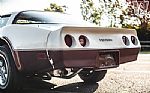 1981 Corvette Thumbnail 42