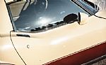 1981 Corvette Thumbnail 53