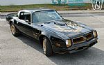 1976 Firebird Trans Am Special Edit Thumbnail 8