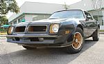1976 Firebird Trans Am Special Edit Thumbnail 9