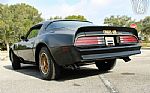 1976 Firebird Trans Am Special Edit Thumbnail 15