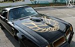1976 Firebird Trans Am Special Edit Thumbnail 29