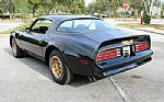 1976 Firebird Trans Am Special Edit Thumbnail 52