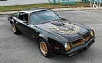 1976 Firebird Trans Am Special Edit Thumbnail 65