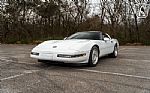 1991 Corvette Thumbnail 6